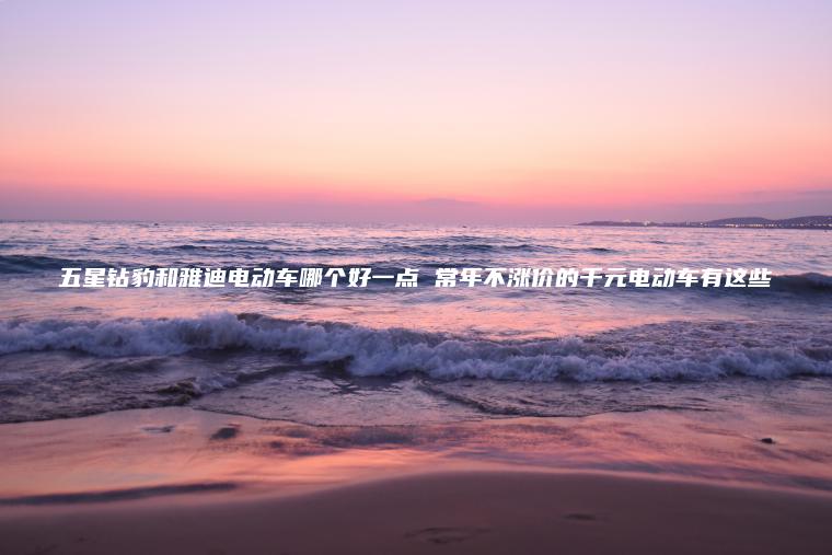 五星鉆豹和雅迪電動車哪個好一點 常年不漲價的千元電動車有這些