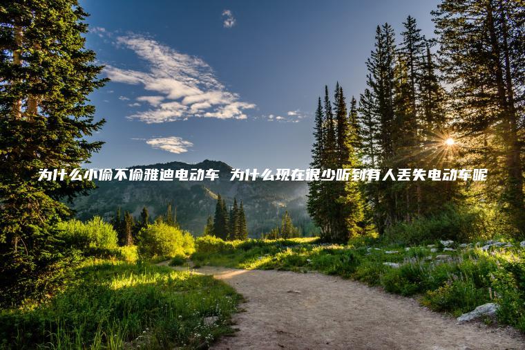 為什么小偷不偷雅迪電動車 為什么現在很少聽到有人丟失電動車呢