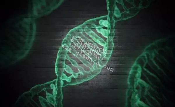 科學家發現人類DNA存在修改痕跡！其中或許隱藏了人類起源！
