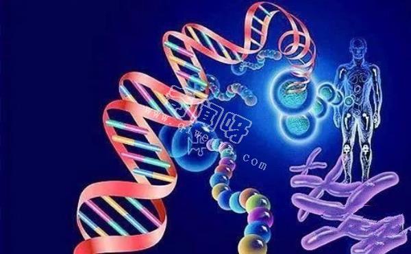 科學家發現人類DNA存在修改痕跡！其中或許隱藏了人類起源！
