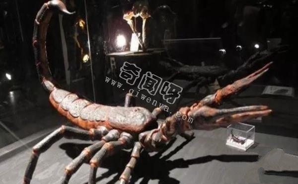 盤點(diǎn)地球史上十大巨型怪物，如果沒滅絕世界將因此而改變！