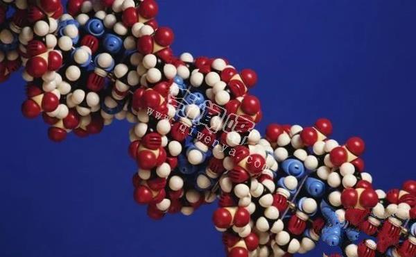 科學家發現人類DNA存在修改痕跡！其中或許隱藏了人類起源！