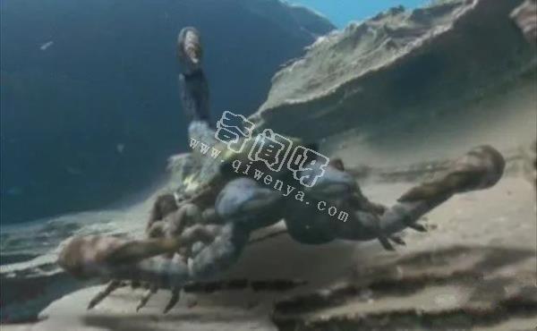 盤點(diǎn)地球史上十大巨型怪物，如果沒滅絕世界將因此而改變！
