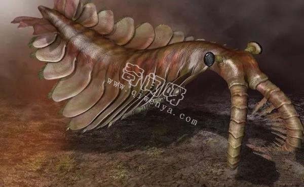 盤點(diǎn)地球史上十大巨型怪物，如果沒滅絕世界將因此而改變！