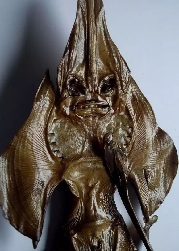 8個真實存在的神話中的生物標(biāo)本，水底情深異形“精靈魚”