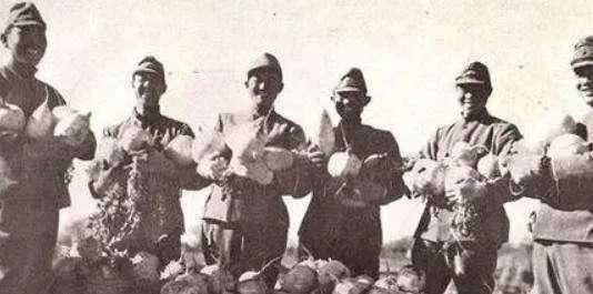 日軍最奇葩軍隊，看到路過的中國軍隊一槍不開，目送40萬人遠去！