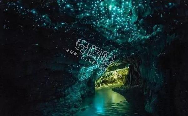 除了螢火蟲(chóng)，你還知道自然界有哪些發(fā)光生物！