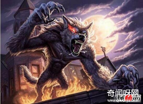 動物未解之謎