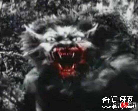 動物未解之謎