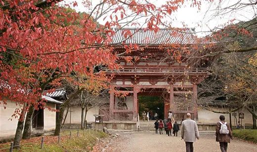 上太空拜神？日本將發(fā)射“宇宙寺廟”