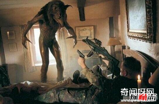 動物未解之謎