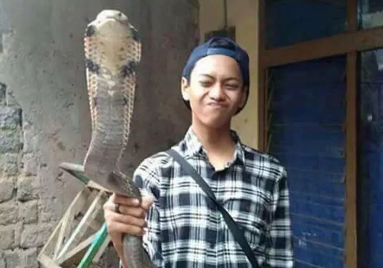 14歲少年被自己眼鏡王蛇咬到拍照炫耀，12小時后慘死