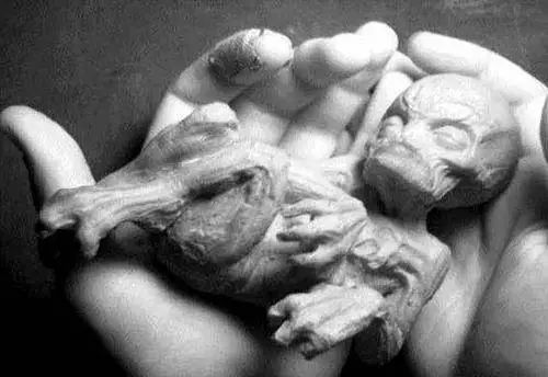 外星人偷我的卵子來創(chuàng)造混種兒！被外星人綁架的女人揭UFO奇遇