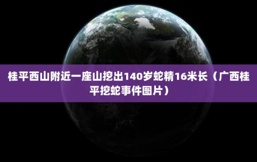 桂平西山附近一座山挖出140歲蛇精16米長(zhǎng)（廣西桂平挖蛇事件圖片）
