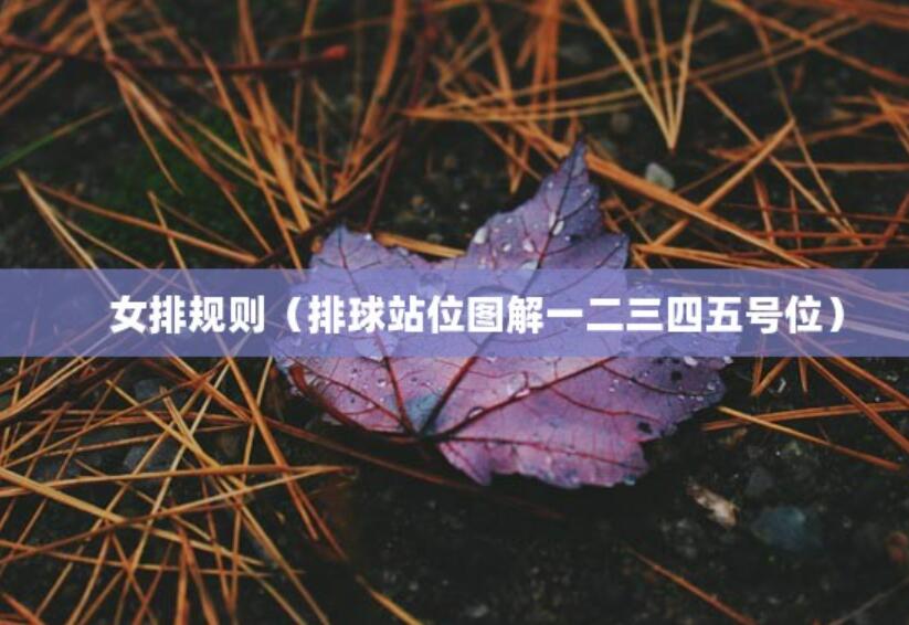 女排規(guī)則（排球站位圖解一二三四五號位）